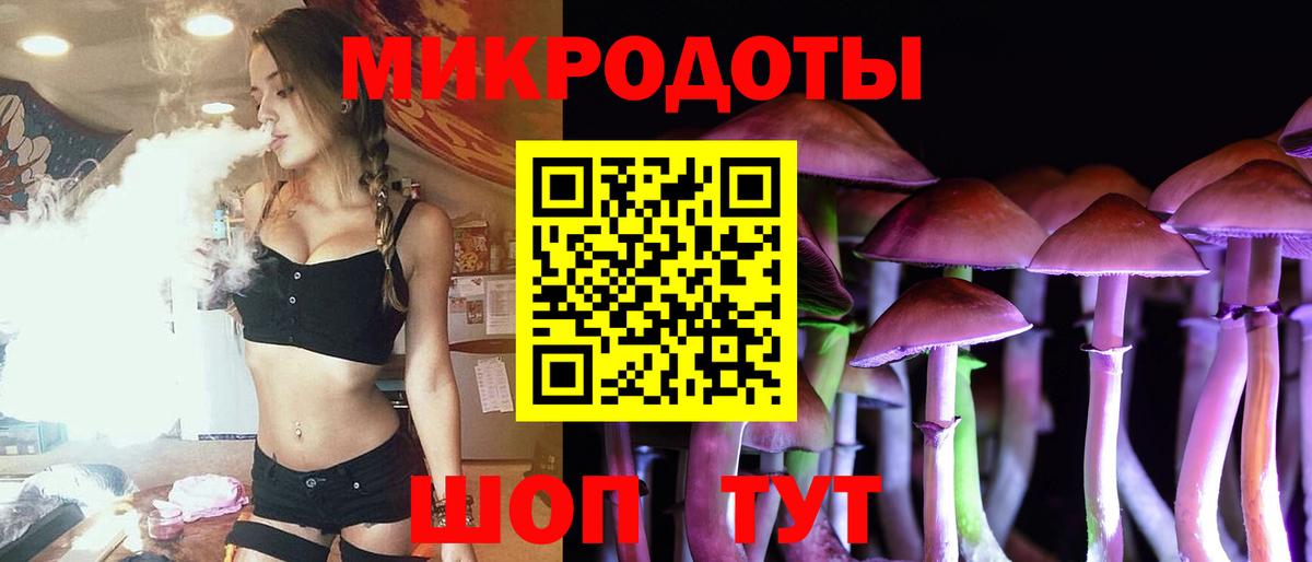 Псилоцибиновые грибы GOLDEN TEACHER  закладка  Богородск  Вход с VPN 
